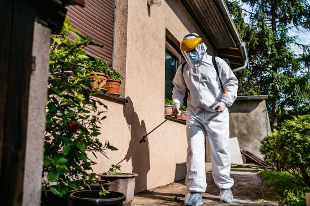 Reliable Hackettstown, NJ Pest Control Solutions