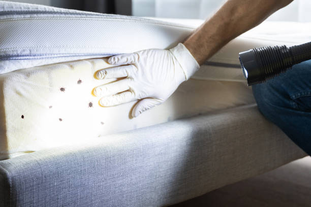 Best Pest Control Treatment  in Hackettstown, NJ